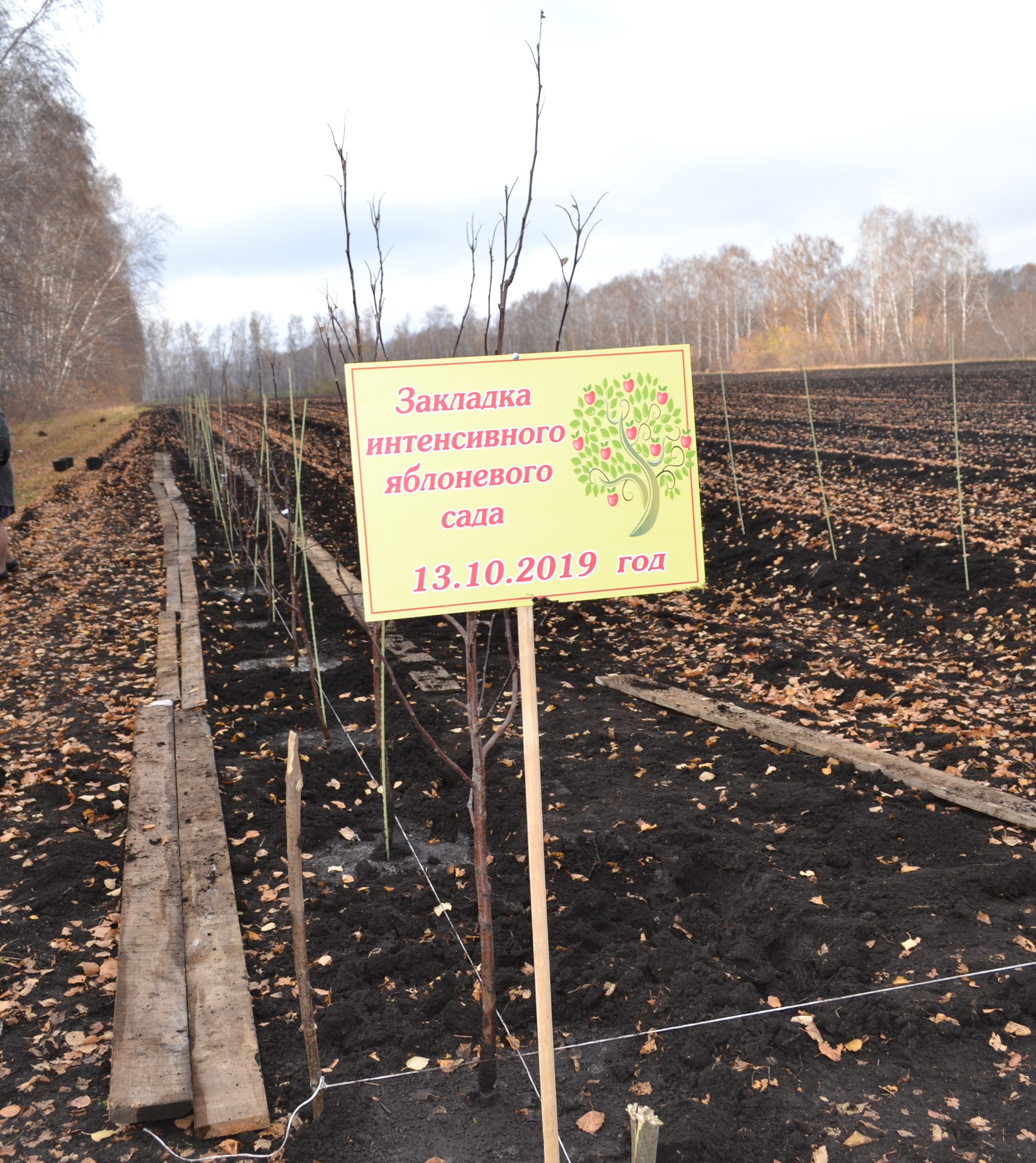 Чишминский плодоовощной питомник